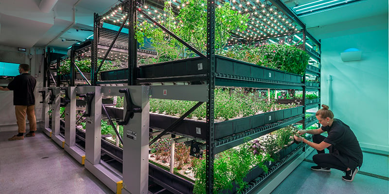 Hydroponic-Urban-Indoor-Farming-Growing-Storage-Unit