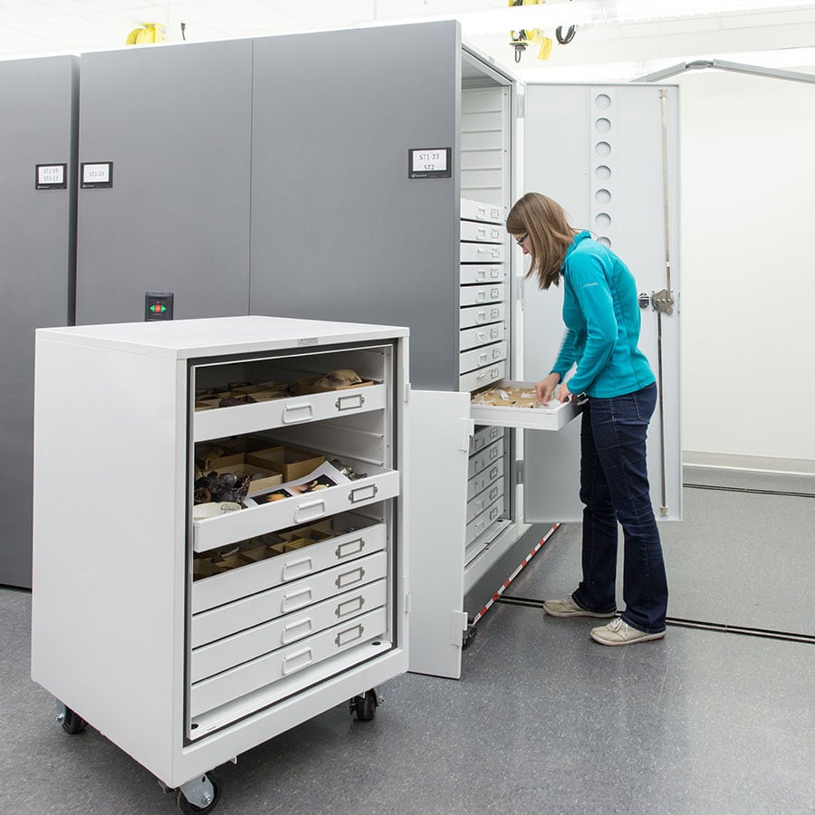 Showcasing the Past with Viking Museum