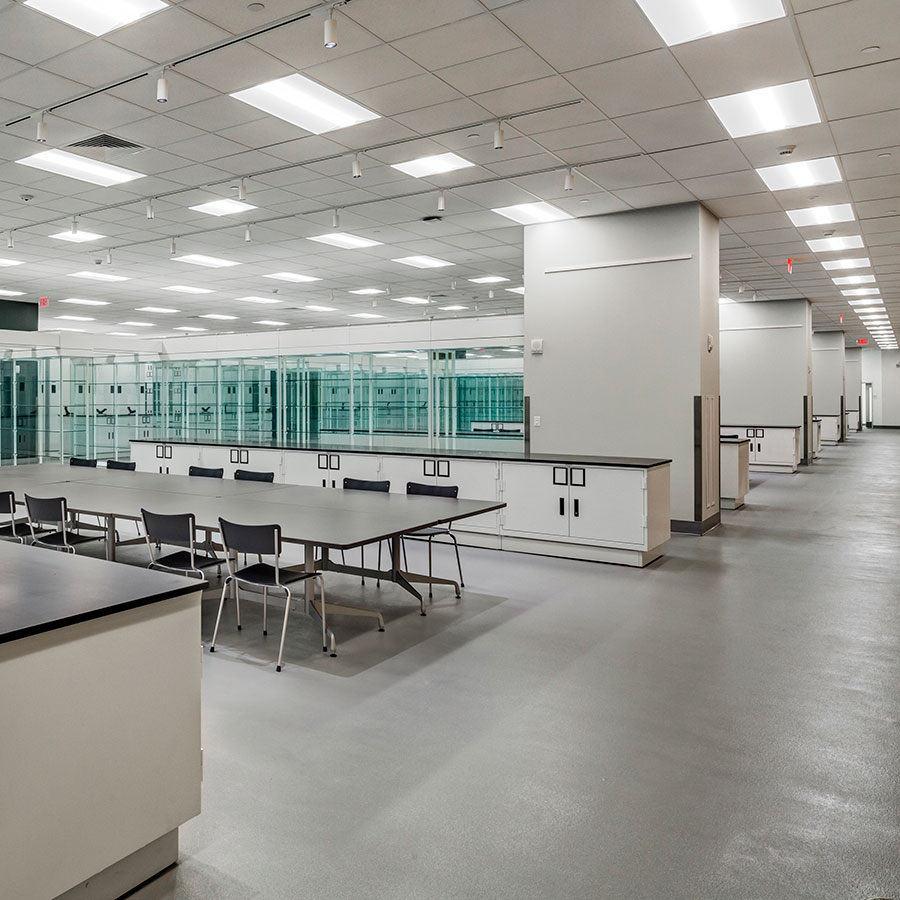 Showcasing the Past with Viking Museum